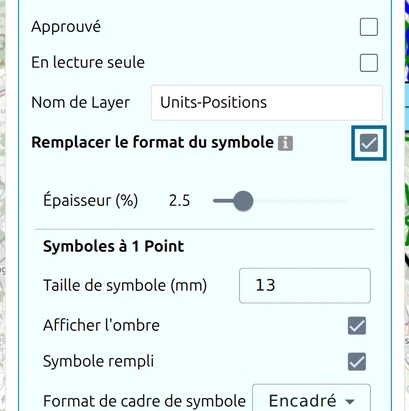 Réglages du layer avec 'Remplacer le format du symbole' coché : les options de symbole apparaissent dessous