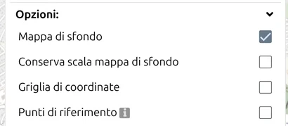 Gruppo 'Opzioni' dell'esportazione di map.army: Mappa di sfondo, Griglia di coordinate, Punti di riferimento